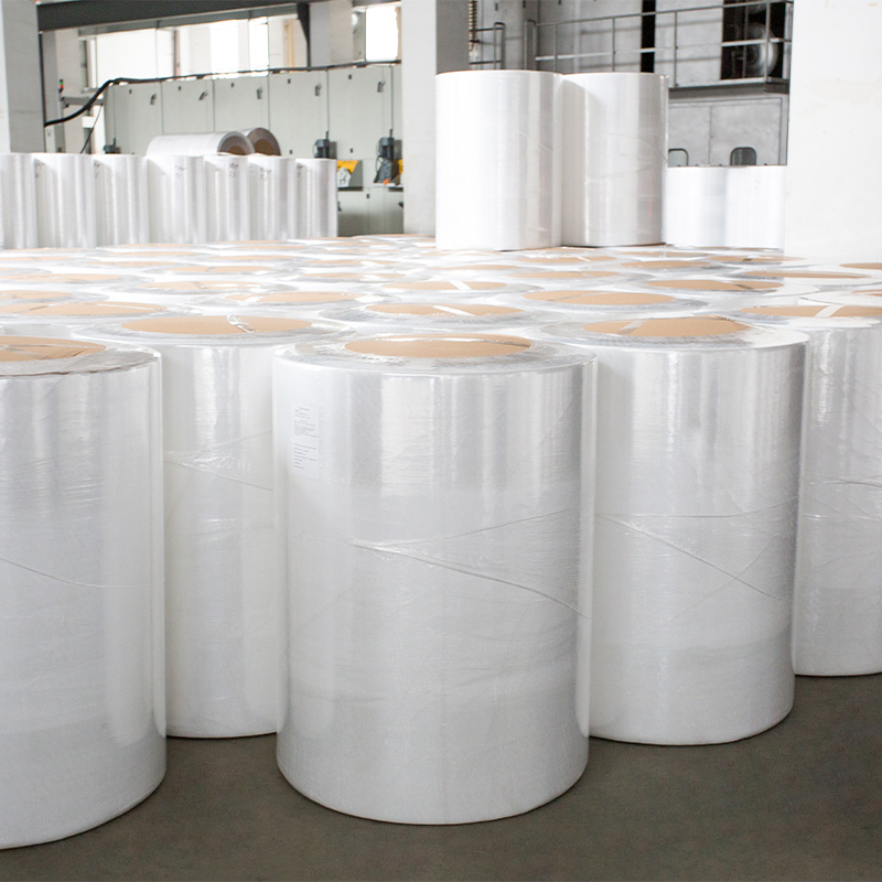 Printed Environmentally Friendly And Biodegradable Spunlace Non-Woven Fabric Roll