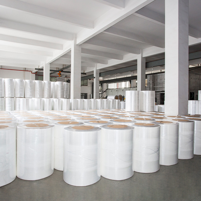 Printed Environmentally Friendly And Biodegradable Spunlace Non-Woven Fabric Roll